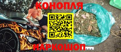 прущие грибы Нальчик