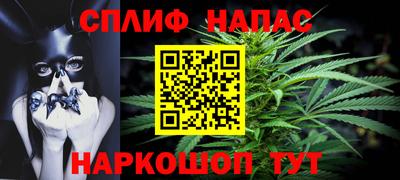 прущие грибы Нальчик