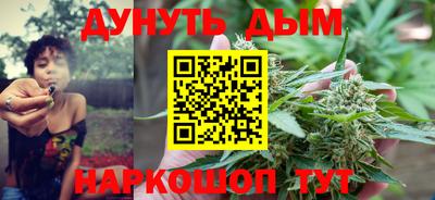 прущие грибы Нальчик