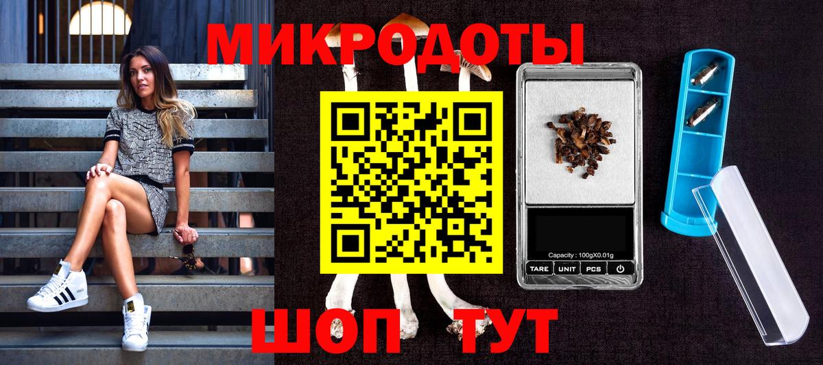 Учалы  Галлюциногенные грибы прущие грибы  Вход с VPN 
